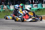 20110501_ales_agnus (3174)